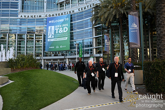 010 IEEE PES TandD Anaheim 2024