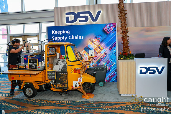 028 DSV at TPM25