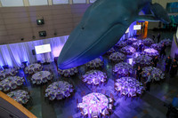 121 Aquarium of the Pacific Blue Whale Gala and After Party 2025