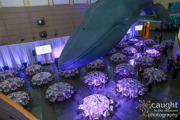 121 Aquarium of the Pacific Blue Whale Gala and After Party 2025