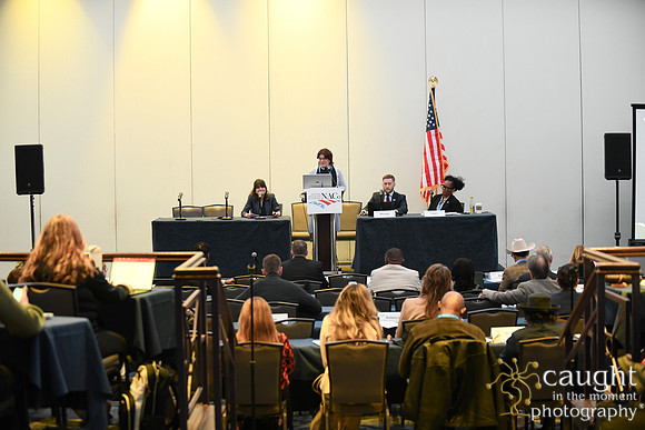 412 NACo 2025 Leg-Saturday-Community, Economic and Workforce Development