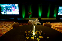 273 NRPA 2015 Gold Medal Reception