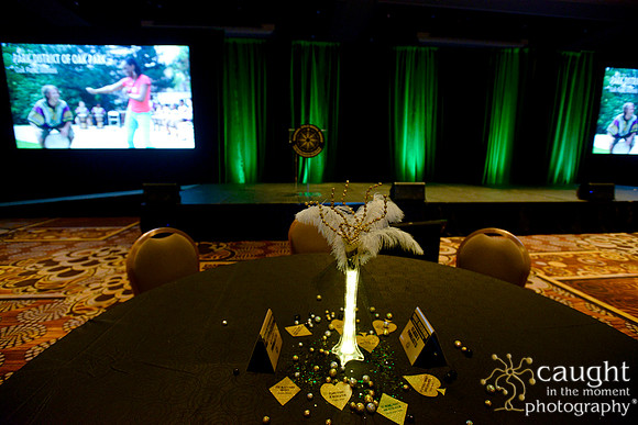 273 NRPA 2015 Gold Medal Reception