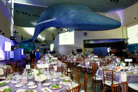 124 Aquarium of the Pacific Blue Whale Gala and After Party 2025