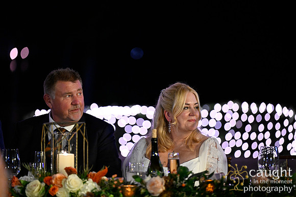 346 Brasche Packman Wedding at Long Beach Museum of Art
