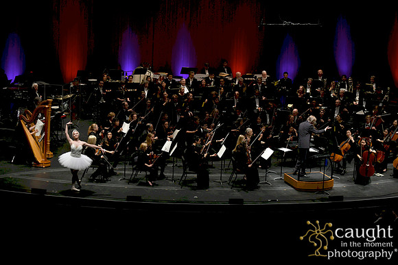 211 Family Concert 2019 Long Beach Symphony Orchestra