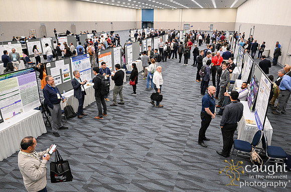 1436 IEEE PES TandD Anaheim 2024
