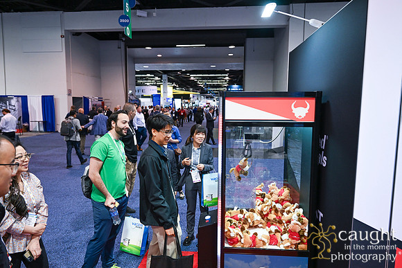 386 IEEE PES TandD Anaheim 2024