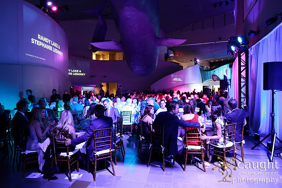 169 Aquarium of the Pacific Blue Whale Gala and After Party 2025