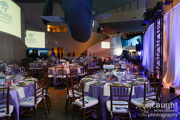 128 Aquarium of the Pacific Blue Whale Gala and After Party 2025