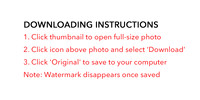 Downloading Instructions