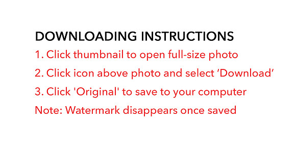 Downloading Instructions