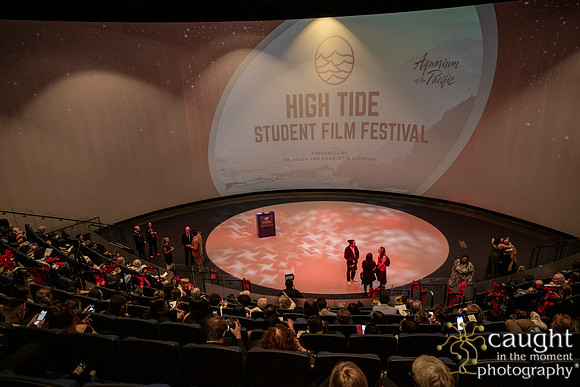 062 High Tide Festival 2025