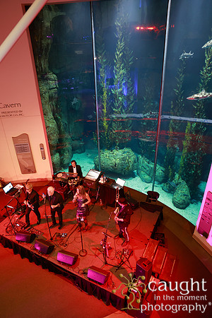 288 Aquarium of the Pacific Blue Whale Gala and After Party 2025