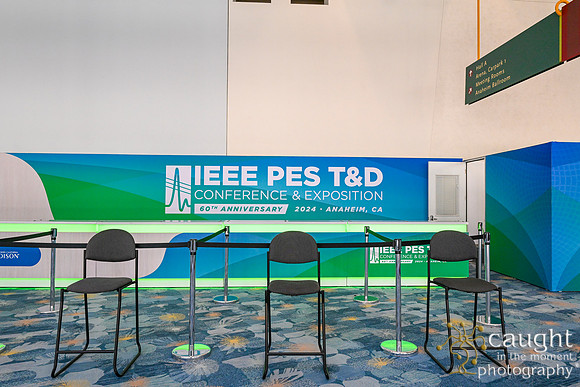 039 IEEE PES TandD Anaheim 2024