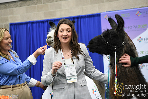 456 HOPA 2025 Conference in Portland - Exhibit Hall