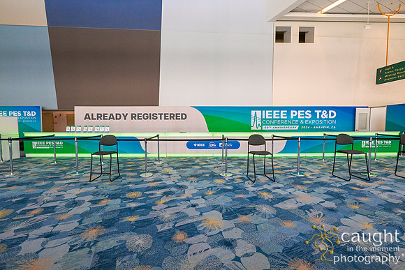 042 IEEE PES TandD Anaheim 2024