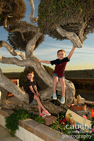 017 Bloch-Nealy Family Portraits in Long Beach