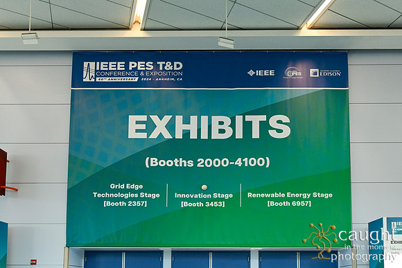 016 IEEE PES TandD Anaheim 2024