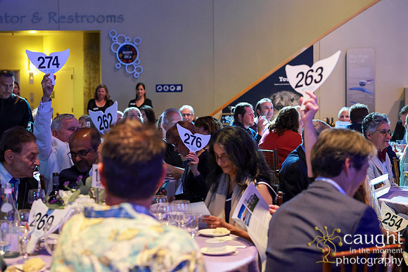 206 Aquarium of the Pacific Blue Whale Gala and After Party 2025