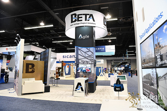 031 IEEE PES T&D 2024-Beta