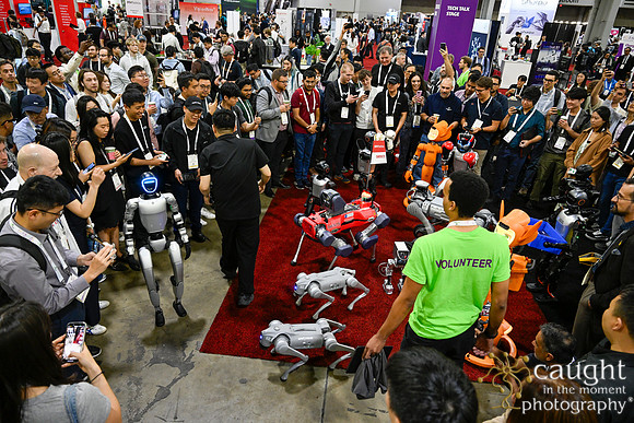 1378 IEEE ICRA 2025 Atlanta