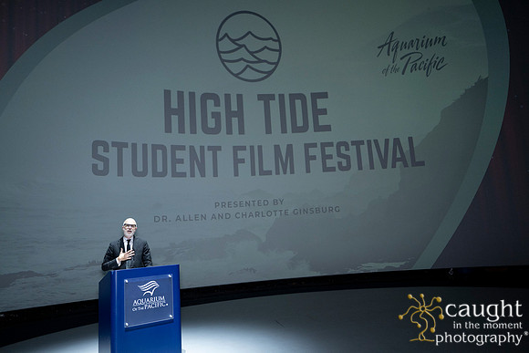 125 High Tide Festival 2025