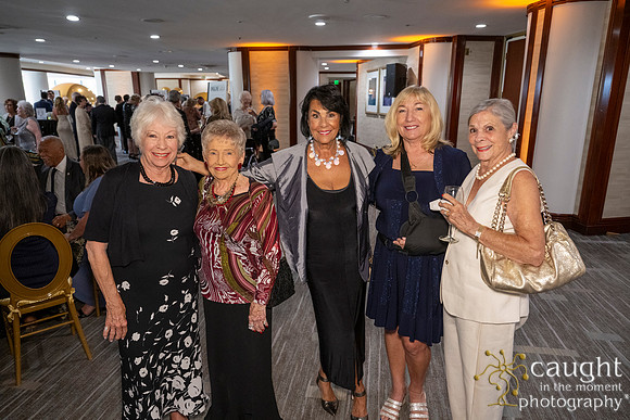245 Imagine Gala 2024