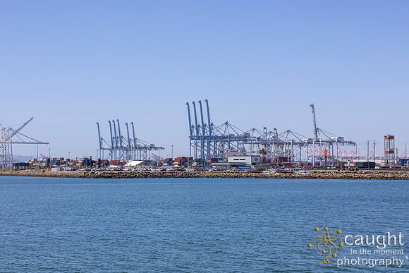 483 NAFTZ Spring Conference 2024 in Long Beach