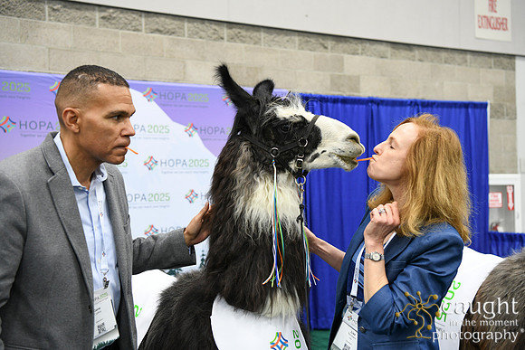 468 HOPA 2025 Conference in Portland - Exhibit Hall