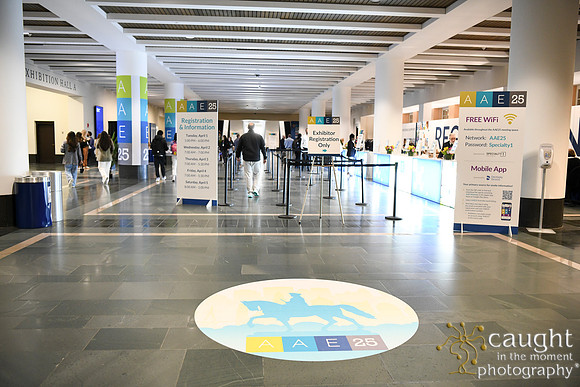 036 AAE 2025 in Boston - Registration & Signage