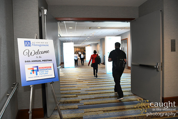 008 AOM 2024 Registration & Networking Hubs