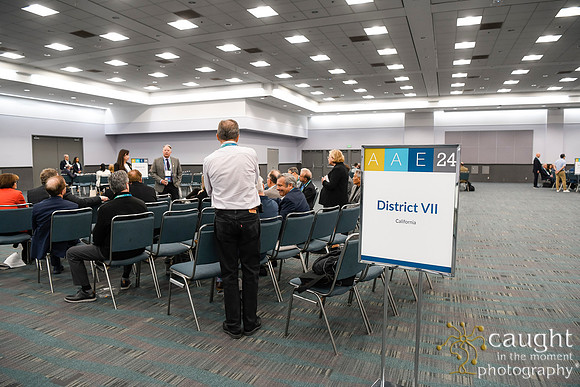 1049 AAE 2024 in Los Angeles - District Caucuses