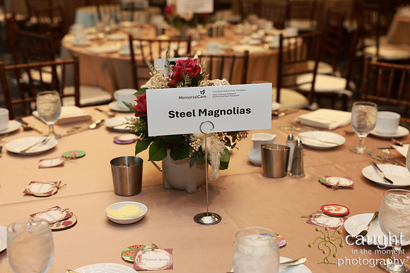 008 Memorial Medical Center Foundation Appreciation Luncheon 2024