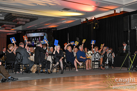 595 Imagine Gala 2024