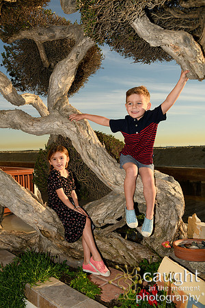 014 Bloch-Nealy Family Portraits in Long Beach
