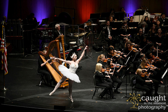 201 Family Concert 2019 Long Beach Symphony Orchestra