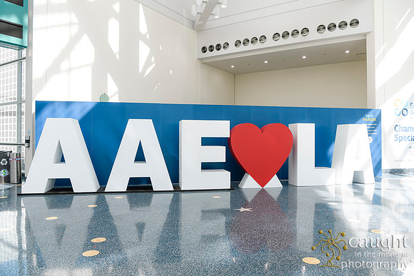008 AAE 2024 in Los Angeles - Registration & Signage