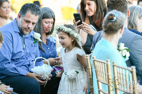 101 Greet Wedding