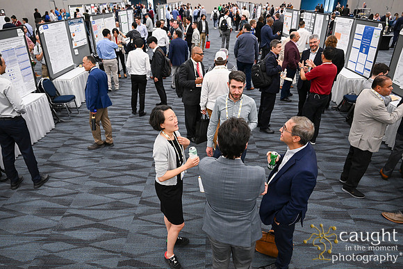 1420 IEEE PES TandD Anaheim 2024