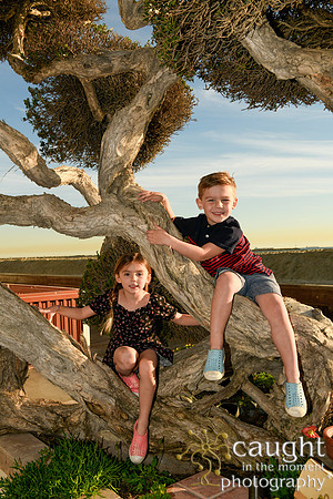 013 Bloch-Nealy Family Portraits in Long Beach
