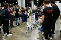 1383 IEEE ICRA 2025 Atlanta