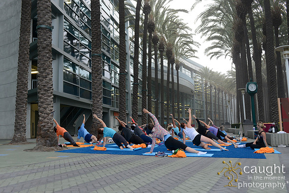 1293 OMED 2016-Yoga