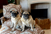 004 Maize Family Portraits