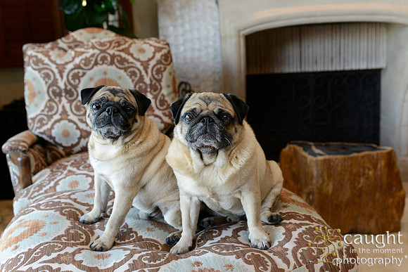 004 Maize Family Portraits