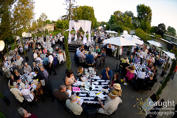 108 MTW Broadway in the Park 2014