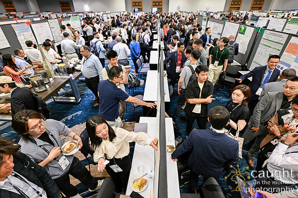 063 RUSH IEEE PES General Meeting 2025
