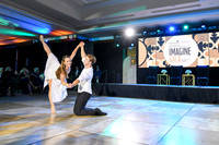295 Imagine Gala 2024