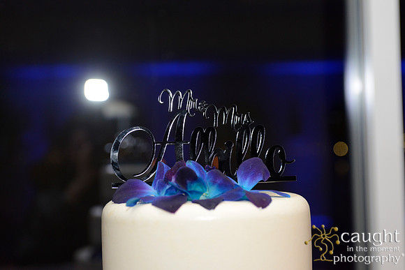 339 Hotel Maya Wedding