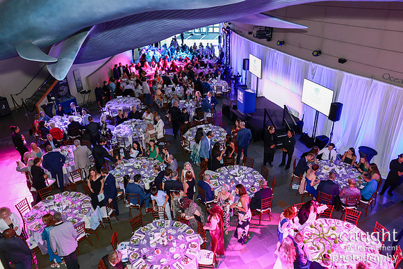 138 Aquarium of the Pacific Blue Whale Gala and After Party 2025
